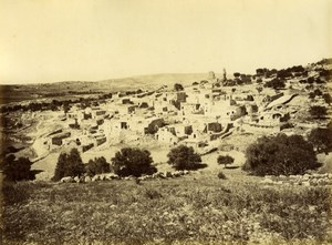 Palestine Bethany General view Syria old Felix Bonfils Photo 1870'