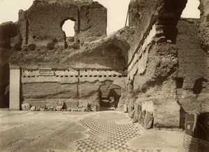 Roma Caracalla Terme Bath Mosaic old Photo 1880