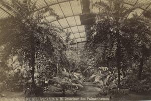 Germany Frankfurt tropical greenhouse Hertel Photo 1890