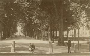 Boys & Man in Park Holland old Dutch Albumen Photo 1890