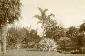 Monte Carlo Casino Garden France old Photo 1880'