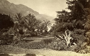 Monte Carlo Garden, Roquebrunne France old Photo 1880'