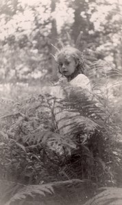 Bucolic Sunday in Forest Denain 4 old real Photos 1930