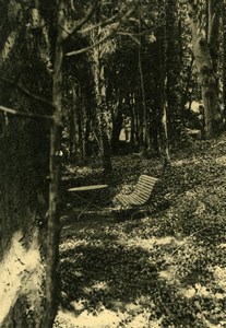 Romantic spot Bench in Wood France old Photo 1920'