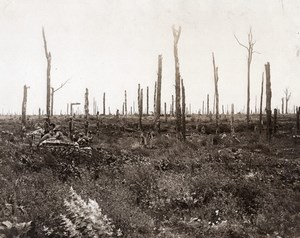 Delville Wood Burmese British Troops WWI Photo 1917'