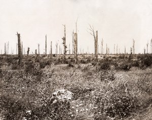 Barentin le Petit British Troops WWI Photo 1917'