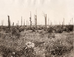 Barentin le Petit British Troops WW1 WWI Photo 1917'