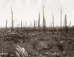 Delville Wood Burmese British Troops WWI Photo 1917'