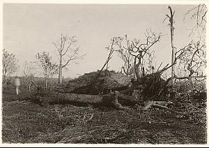 Cuba La Habana Disaster El Cyclon del 26 old Photo 1926