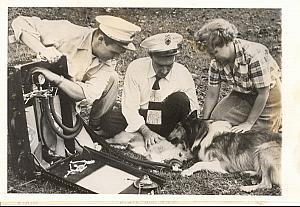 Scottisch Dog First Aid Bethesda USA old Photo 1953