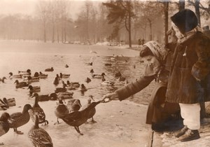 Duck Lunch Daumesnil Park Paris France old Photo 1955