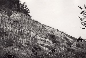 Trench & ruins Alsace WWI WW1 Military old Photo