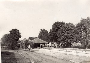 Straw Supply Train Marne Front WWI WW1 old Photo