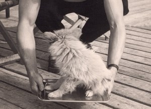 Hot Dog on Tray France Amateur Snapshot Photo 1950