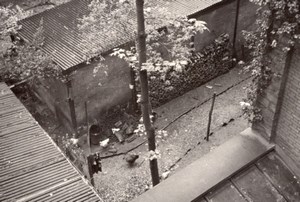 Courtyard Coal Chicken Paris Study Amateur Photo 1946