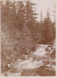 Lenzerheide Grisons Switzerland Old Snapshot Photo 1900