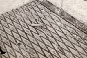 Insect on Cast Iron Grid France Unusual old Snapshot 1945