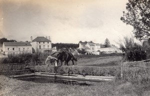 Saumur Military French Horse Instantaneous Photo 1912