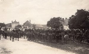 Champigny Military French Horse Officers Photo 1910