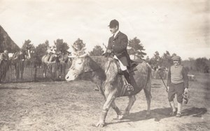 Cow Rider Saumur Military French Horse old Photo 1912