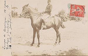 Marseille Military French Horse old Photo postcard 1909