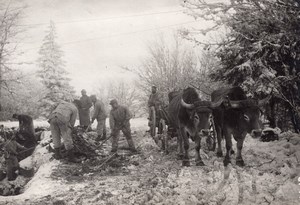 Alpes Soldiers at Work WWI Military scene old war Photo