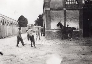 Veterinary Hospital Horses WWI Military scene war Photo