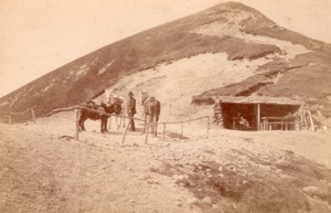 France Pic de Sancy Horses Donkeys old Photo CC 1880'