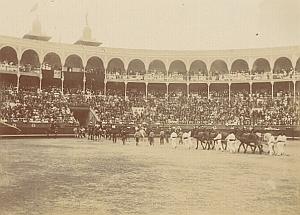Spain Tauromachy Bull Fighting Corrida Arena Photo 1890