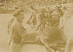 Matador Tauromachia Dead Horse Corrida Arena Photo 1890