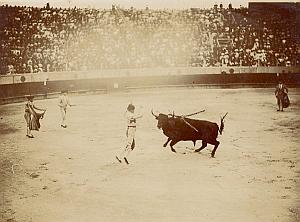 Spain Tauromachy BullFighting Corrida Arena Photo 1890