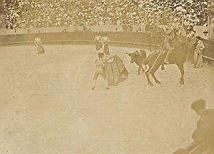 Spain Tauromachy BullFighting Corrida Arena Photo 1890