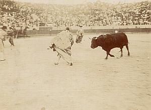 Spain Tauromachy BullFighting Corrida Arena Photo 1890