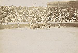 Spain Tauromachy Bull Fighting Corrida Arena Photo 1890