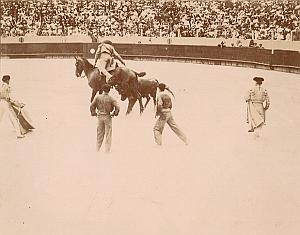 Picador Tauromachy BullFight Corrida Arena Photo 1890