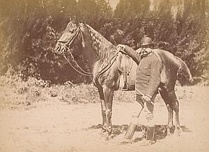 Algeria French Colonial horse rider old Photo 1880'
