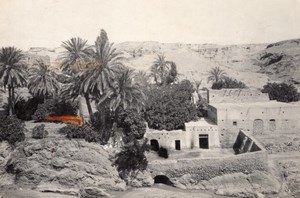 Algeria Bou Saada Oasis Scene old Photo Prouho 1930