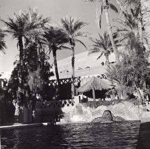 Water Oasis Palm tree Beni Abbes Algeria old Photo 1940