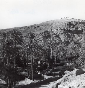 Oasis Beni Abbes Panorama Algeria old Photo 1940