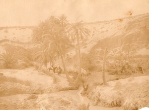 Tozeur Oasis Tunisia old Garrigues Photo 1880