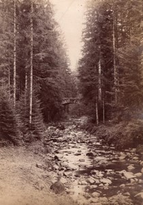 Fairy Bridge Stream Switzerland Reuss Valley Photo 1875