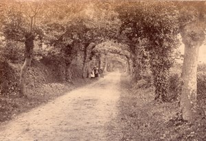 Family promenade Jersey Island Tree Road old Photo 1880