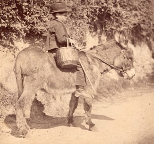 Nice Study of Boy on Donkey France old Photo 1870