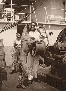 Great Dane Dog at Lunch on Boat old Photo 1930