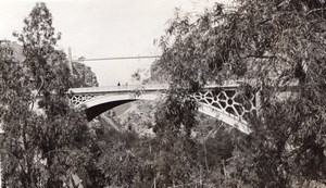 Panorama Constantine Bridge City Algeria old Photo 1925