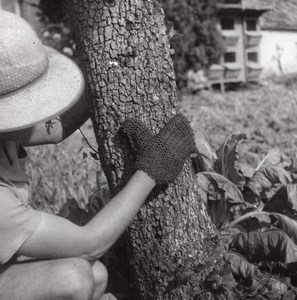 Botanical Worker Farm France Old Seeberger Photo 1930