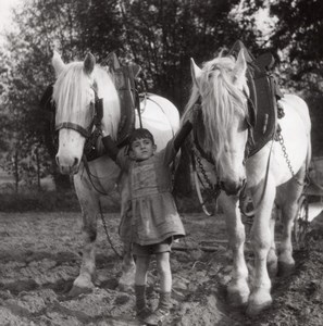 Young Farmworker Horses France Old Seeberger Photo 1930