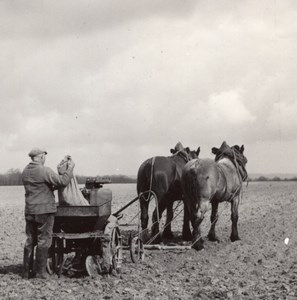 Farmworker Sowing Horse France Old Seeberger Photo 1930