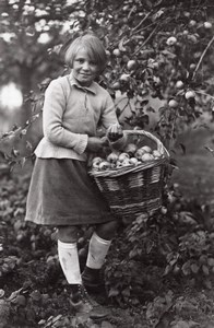 Apple Harvest Recolte des Pommes Seeberger Photo 1930