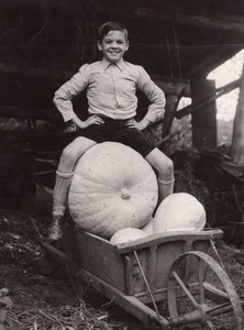 De la Belle Légume Pumpkin France Seeberger Photo 1930